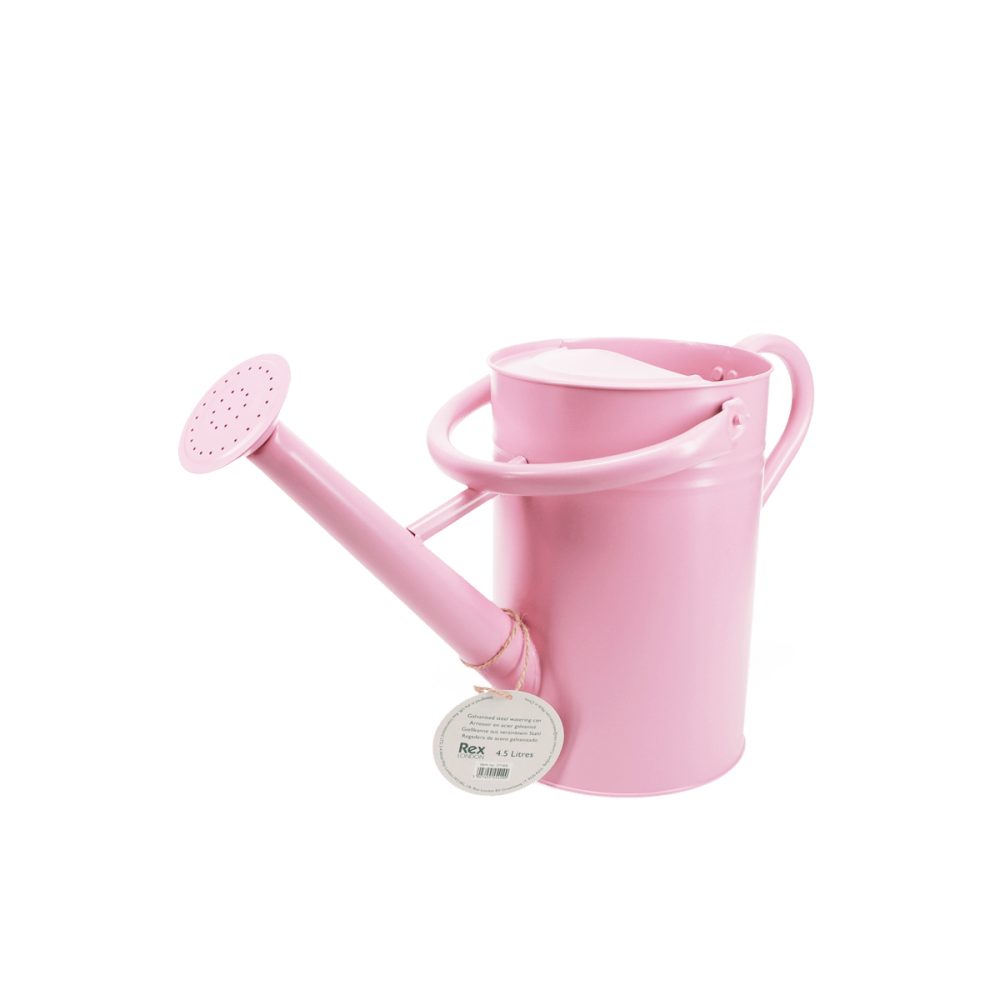 Annaffiatoio in acciaio Rosa