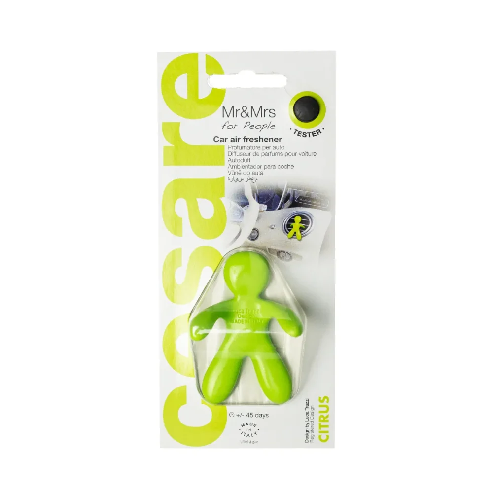 Mr&Mrs Fragrance Cesare Green Warm Spicy Profumatore per auto - immagine 3