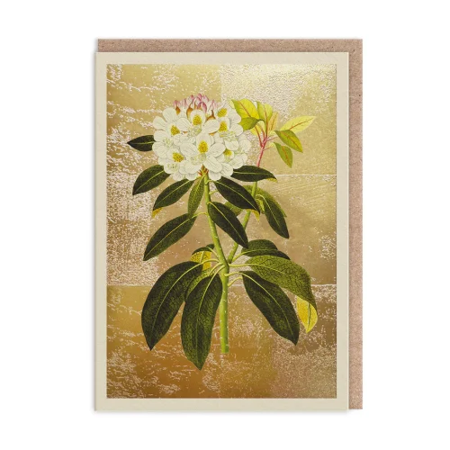 Biglietto Auguri Rhododendron